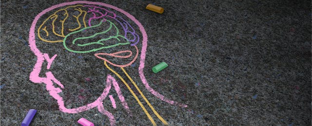 spotlight on standardization growth