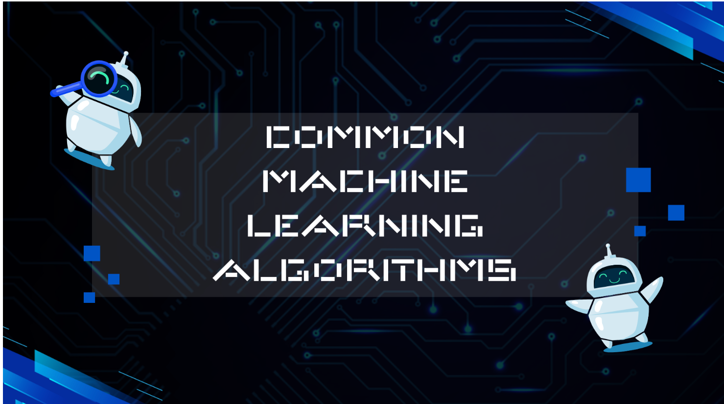 Common Machine Learning Algorithms: User Guide