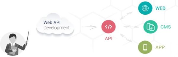 API development