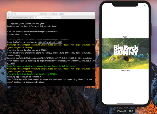 Running expo and raw react-native together